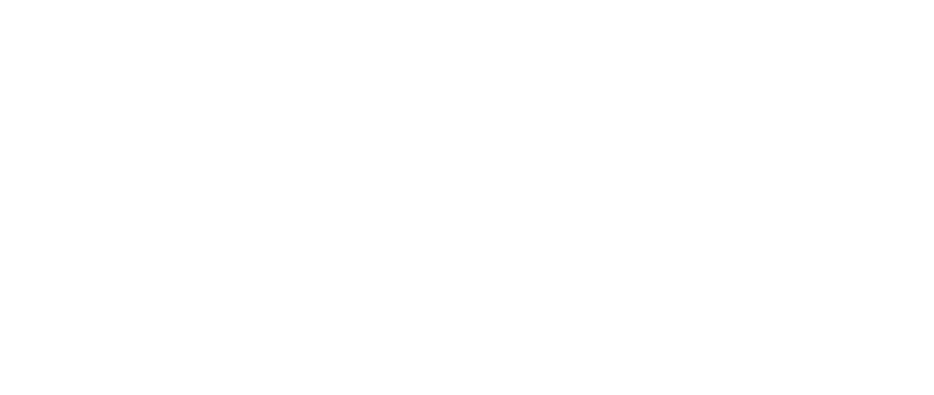 Scott Digital Victory Fund